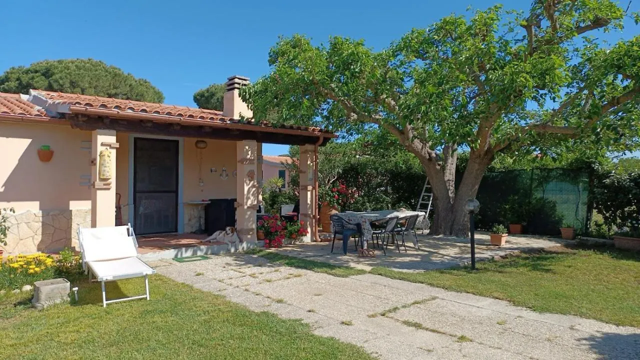 Dom wakacyjny Willa Casa Il Pino Orbetello